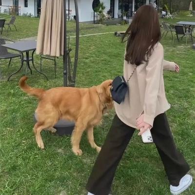 熊猫总动员