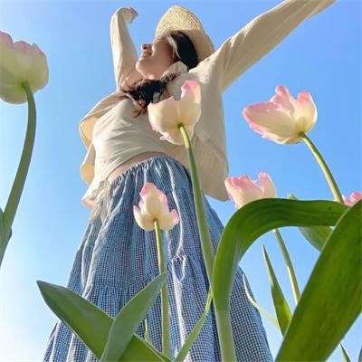 番石榴岛